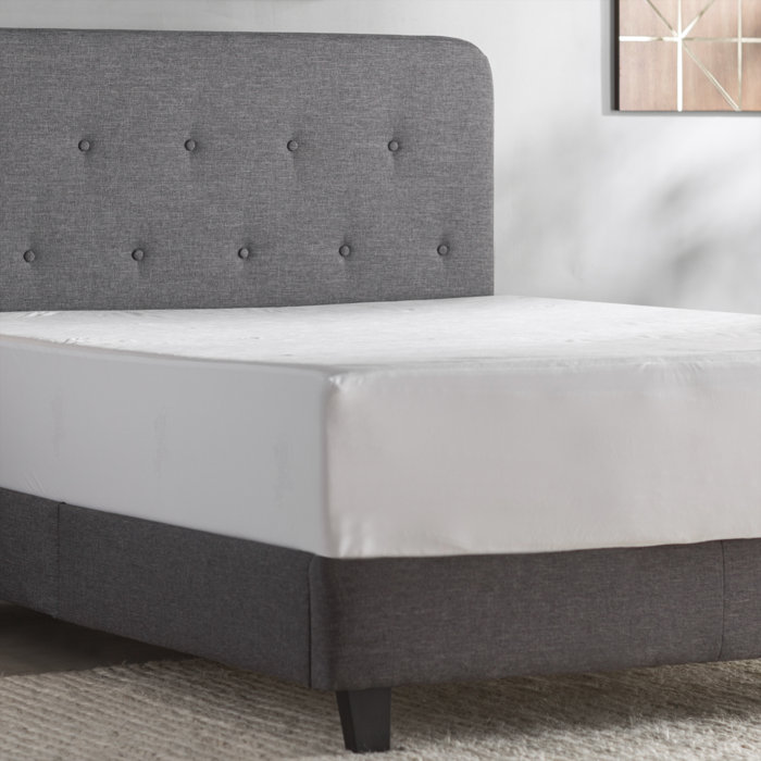 Alwyn Home Betances All in One Bed Bug Blocker Waterproof Zippered